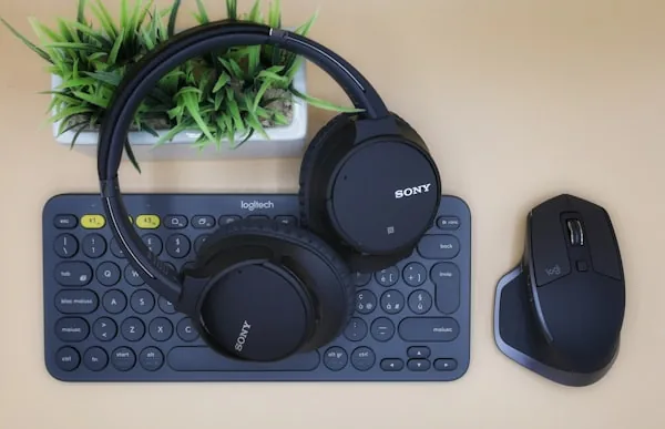 Headphones and electronics